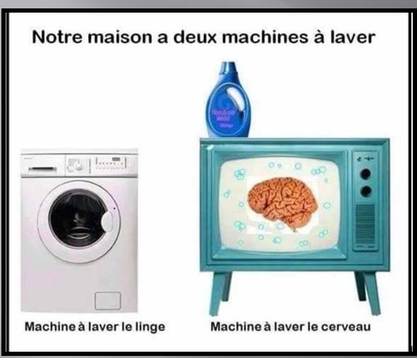 télévores
